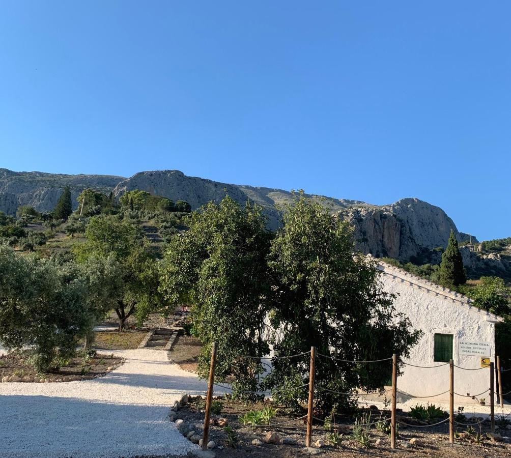 Casa Anita - La Almona Chica ξενώνας El Chorro Εξωτερικό φωτογραφία