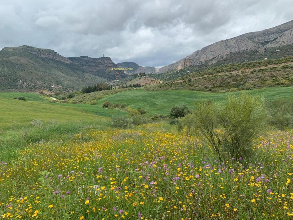 Casa Anita - La Almona Chica ξενώνας El Chorro Εξωτερικό φωτογραφία