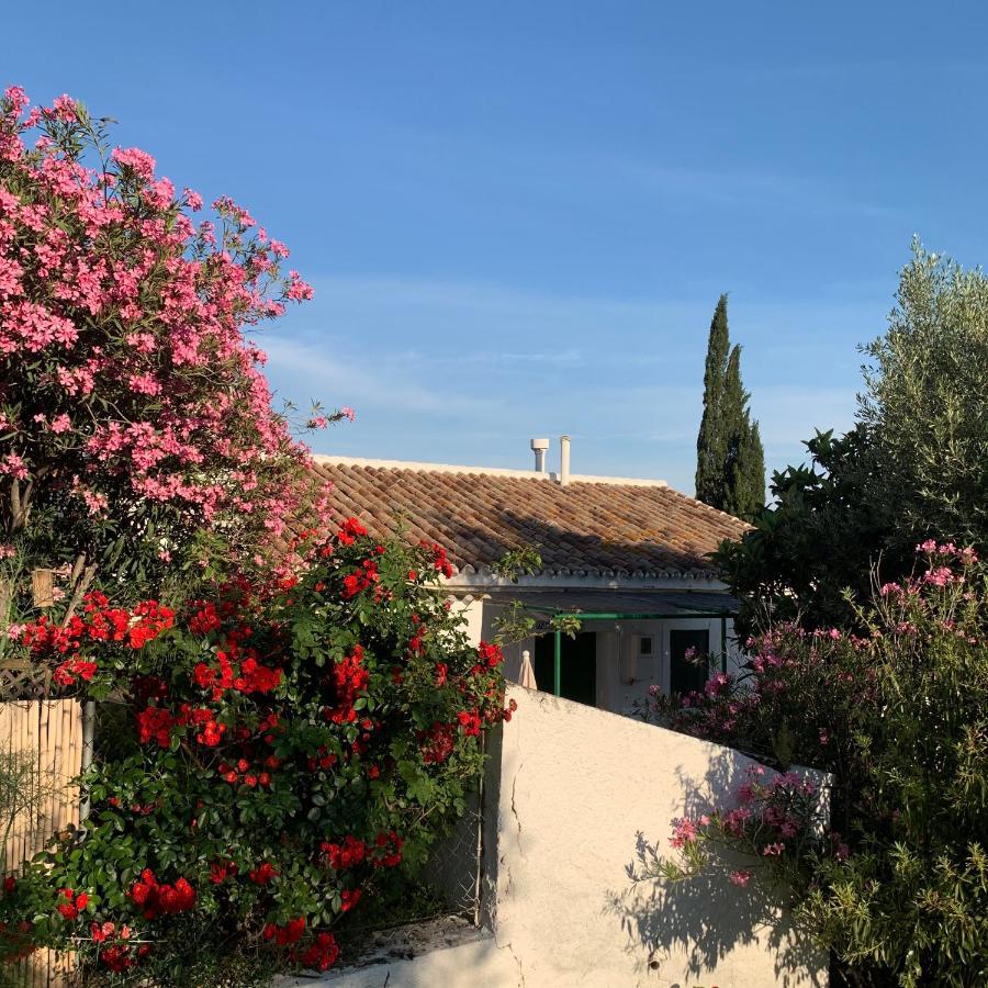Casa Anita - La Almona Chica ξενώνας El Chorro Εξωτερικό φωτογραφία